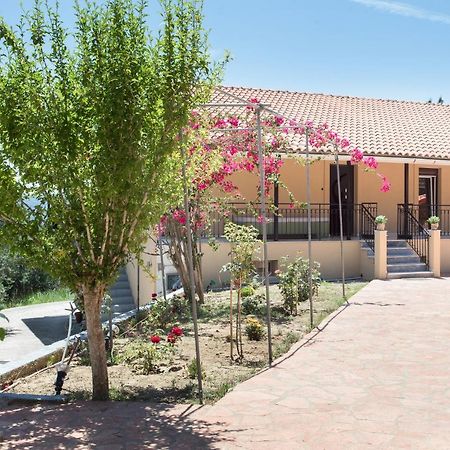 Olive Tree House Villa Evropouloi Dış mekan fotoğraf