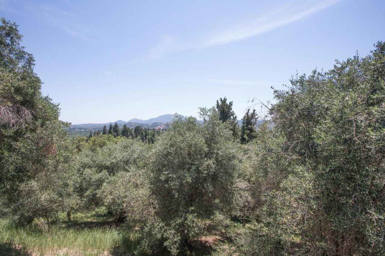 Olive Tree House Villa Evropouloi Dış mekan fotoğraf